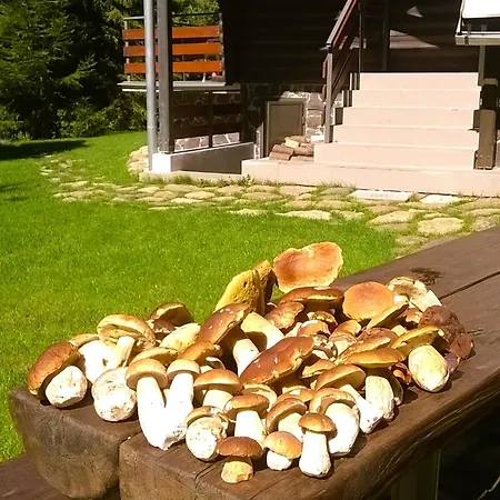 Sova Tale Дом отдыха *