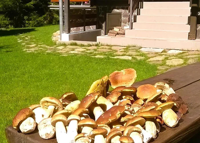 Sova Tale Vakantiehuis *